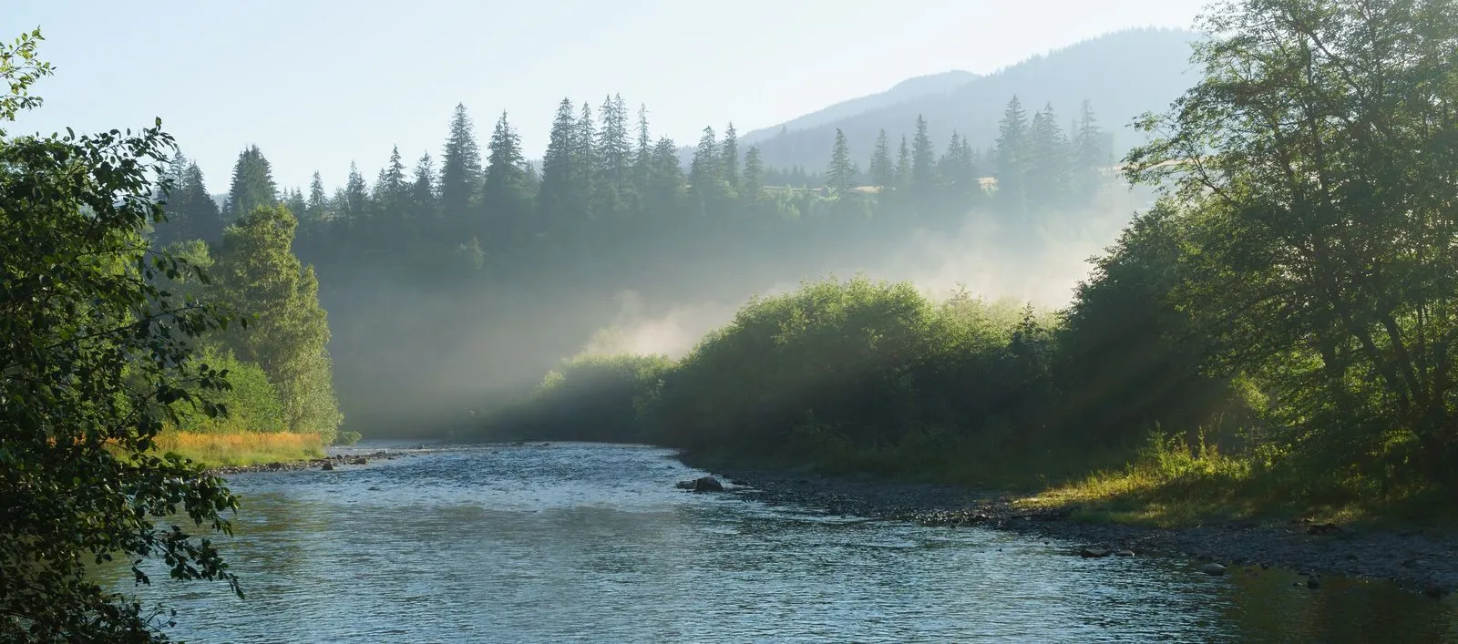 River and forest landscape at sunrise