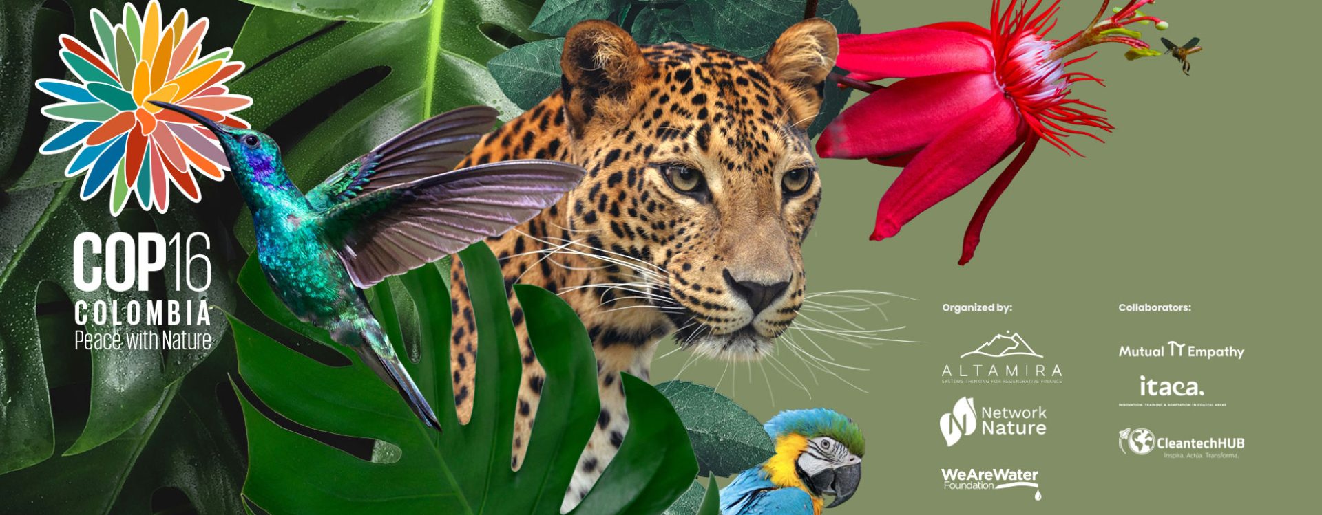 COP16 Cali: Unlocking Private Finance for a Just Transition towards a Regenerative Economy
