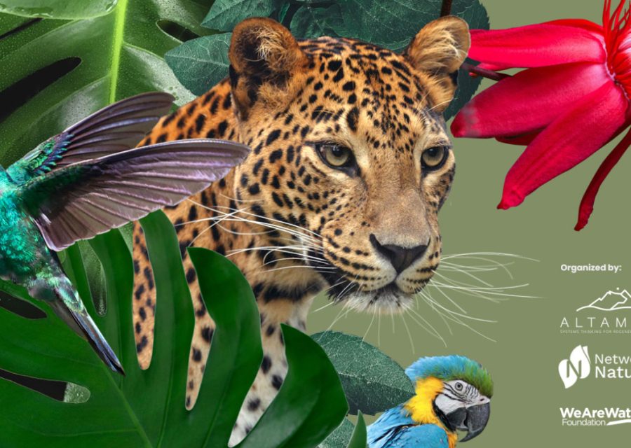 COP16 Cali: Unlocking Private Finance for a Just Transition towards a Regenerative Economy