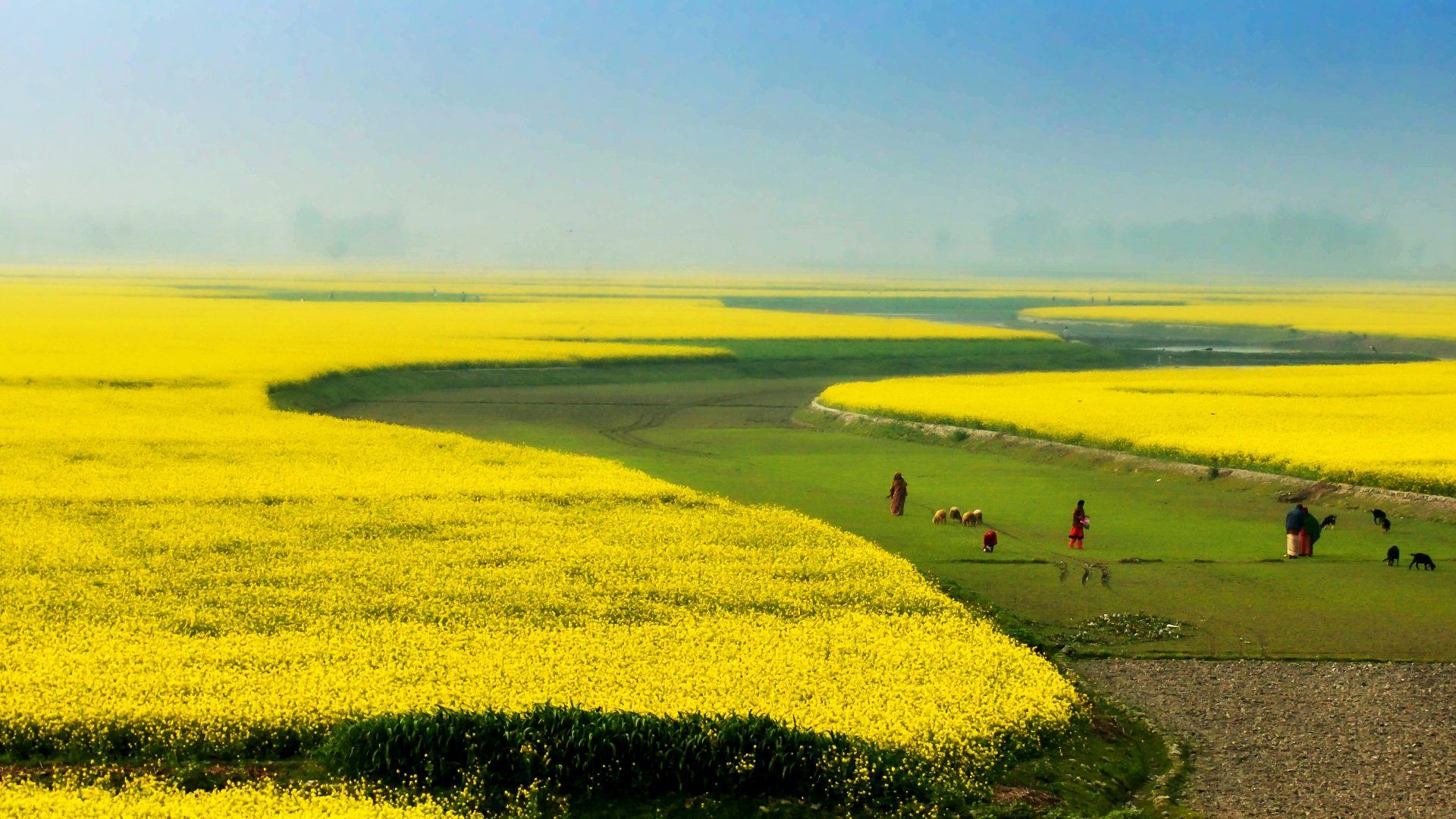 Leveraging Climate Finance for Smallholders Adaptation to Climate Change