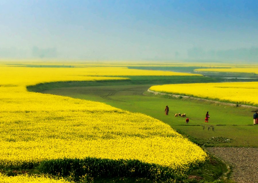 Leveraging Climate Finance for Smallholders Adaptation to Climate Change